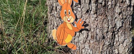 TVC-Osterschnitzeljagd - Ein voller Erfolg!