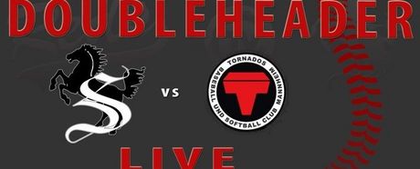 Heimspieltag der Red's gegen die Tornados aus Mannheim.